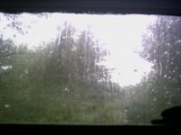 Rain from my window