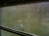 Rain from my window