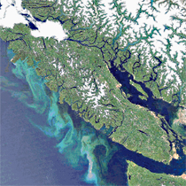 algae bloom from space