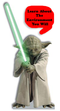 yoda