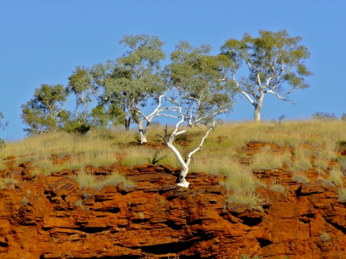 Scientists studied 2.5 billion-year-old sediments from under Australia's red-weathered hills.