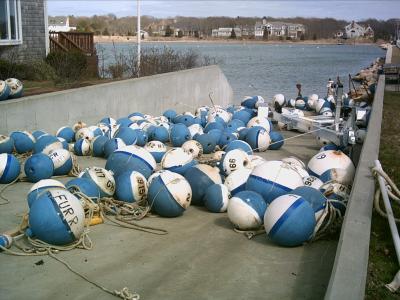 blue buoy